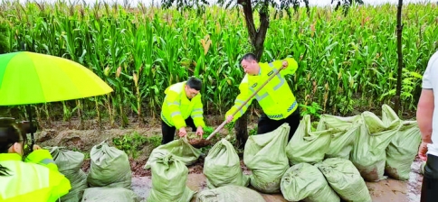 永济交警大队虞乡中队民警帮助农民抢收水中玉米