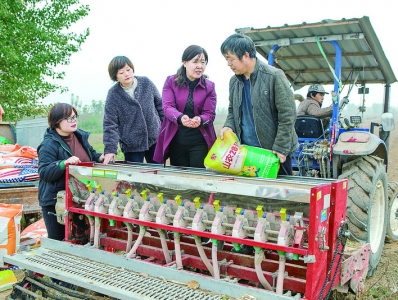 小麦晚播出全苗，专家地头讲要点