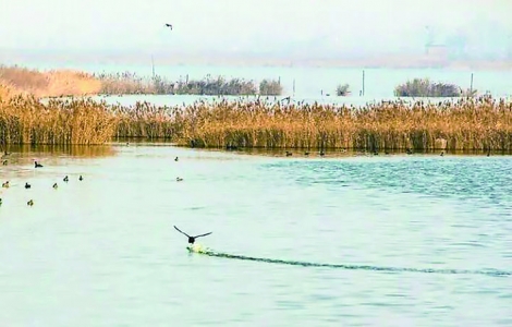 涑水河清水复流