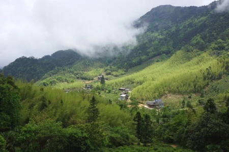 当遍地都是咖啡馆时,茶馆应该怎么开?