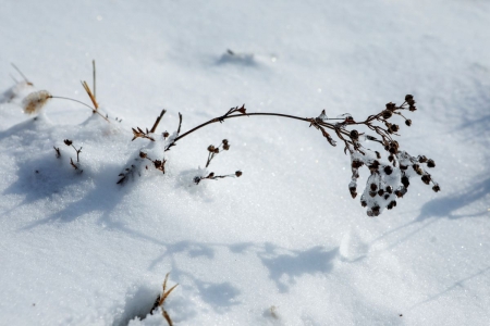 中条山小雪初霁