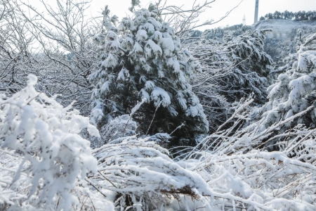 中条山小雪初霁