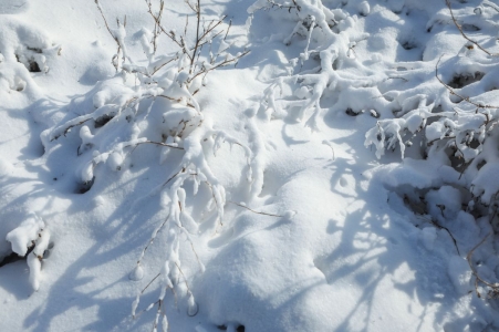 中条山小雪初霁