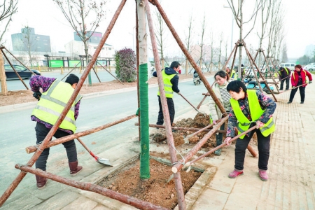 解放路将成为一条集生态、休闲、景观于一体的景观大道