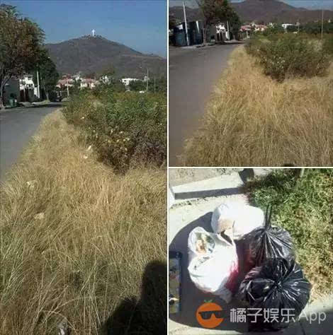 你家小区垃圾让谁捡走了,荷兰小伙捡垃圾改变了世界